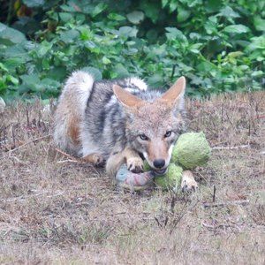 Meet your Posher, Gary